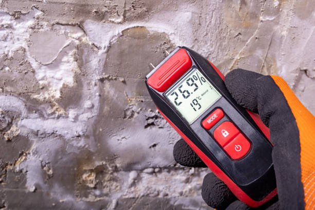 Best Localized Mold Remediation (e.g., coastal areas, humid climates) in Grandwood Park, IL